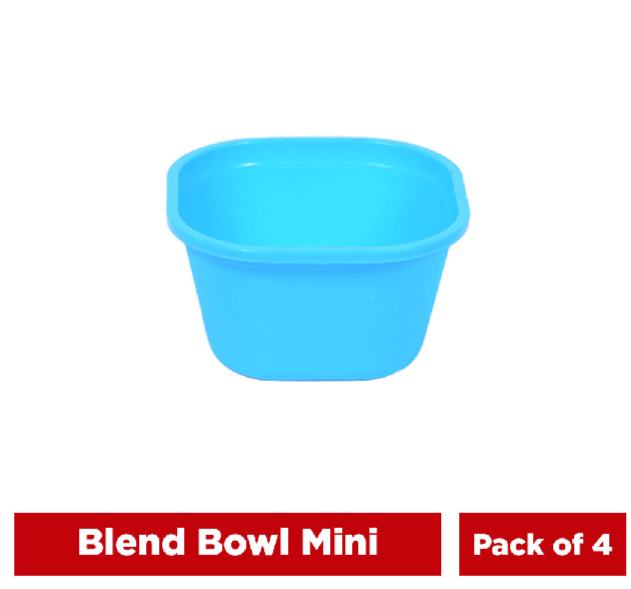 Blend Bowl - Mini 450ml (Pack of 2)