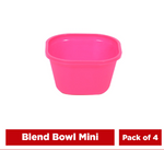 Blend Bowl - Mini 450ml (Pack of 2)